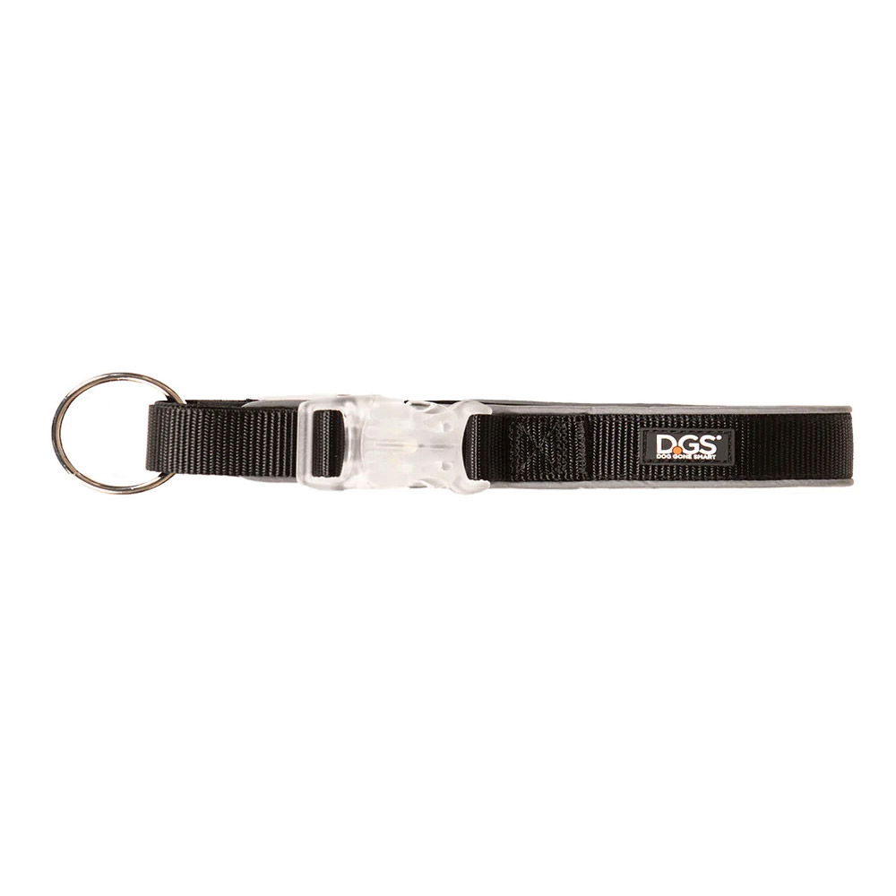 DGS Comet LED Safety Collar (Black) Medium - 2cm x 41 - 51cm