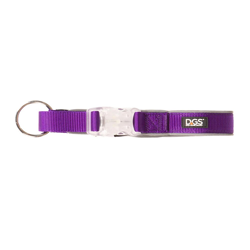 DGS Comet LED Safety Collar (Purple) Small - 1.5cm x 34 - 41cm