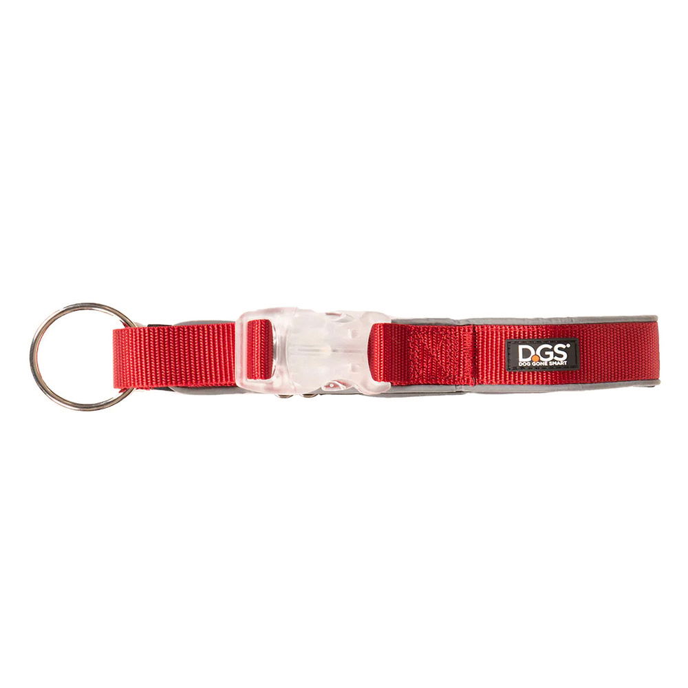 DGS Comet LED Safety Collar (Red) Small - 1.5cm x 34 - 41cm