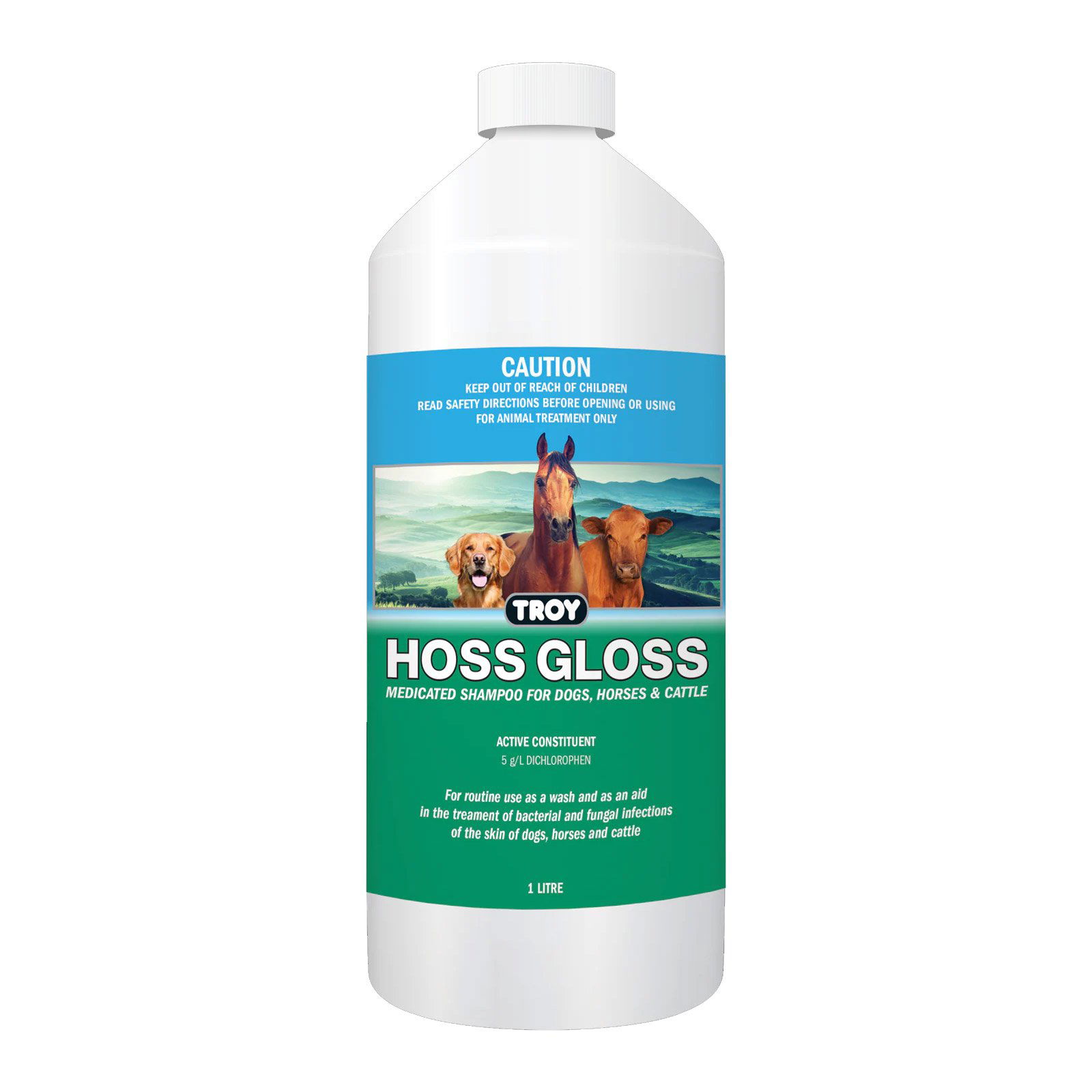 Troy Hoss Gloss