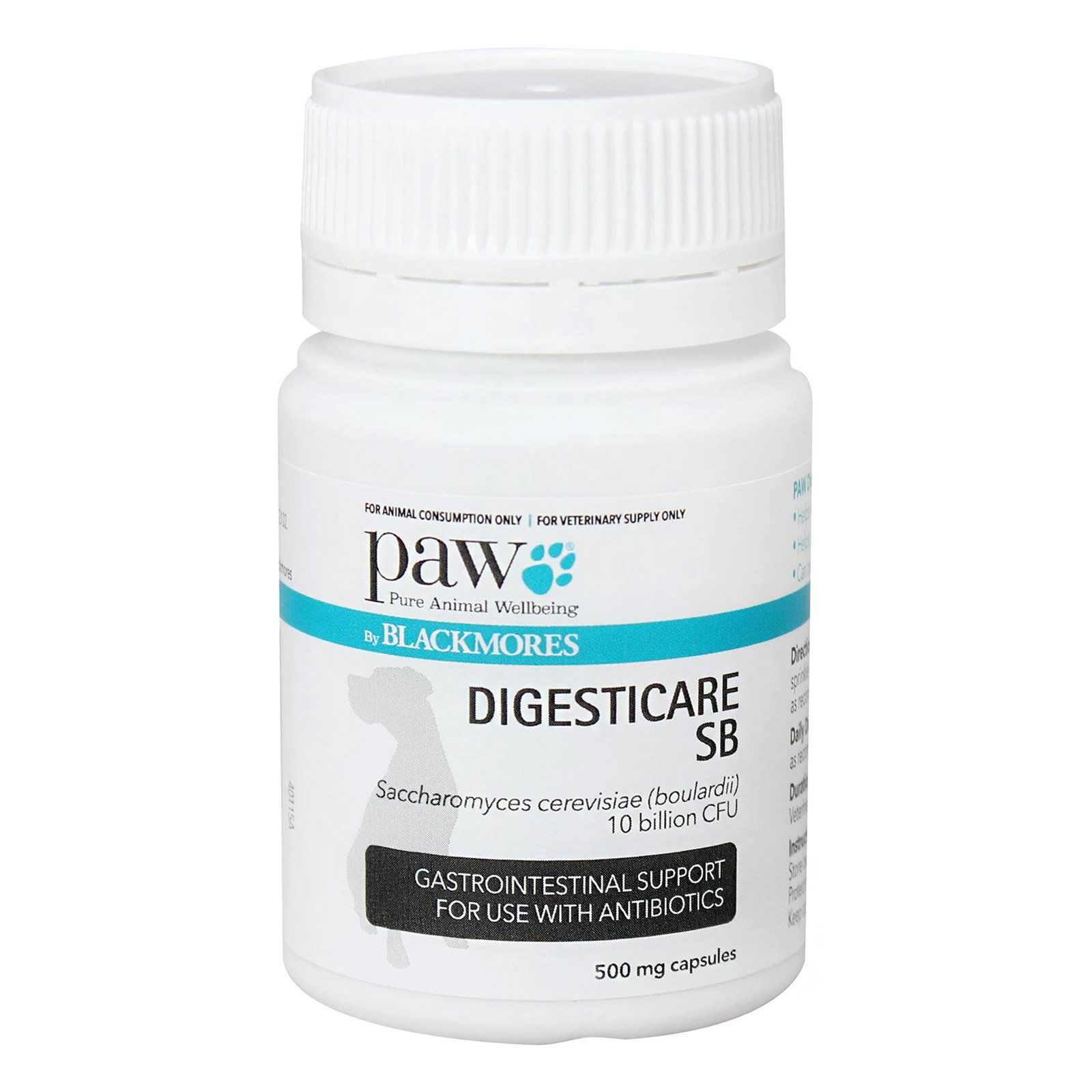 PAW DIGESTICARE SB 500 MG