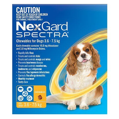 Nexgard Spectra Small Dogs (3.6 - 7.5kg) Yellow