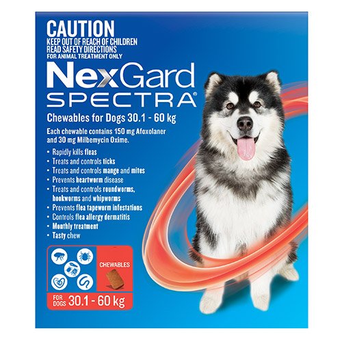 Nexgard Spectra Extra Large Dogs (30.1 - 60kg) Red